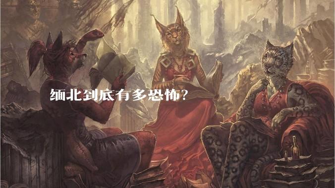 缅北到底有多恐怖？
