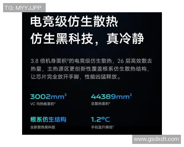 全面解析s15电竞英雄联盟灵活性从零起步的攻略秘籍与实战技巧