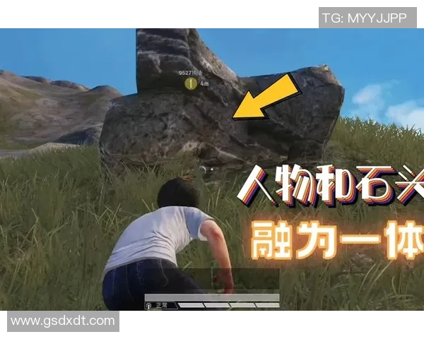 LNG在和平精英赛事中的反击策略分析与得失总结