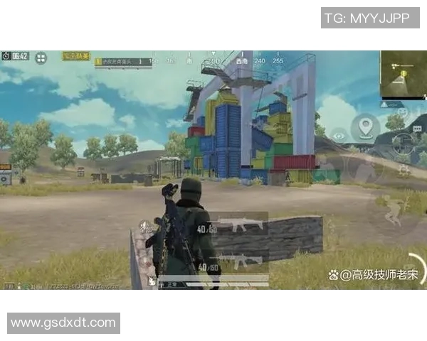 探秘和平精英成功秘诀周娜分享S15LOL背后的故事与经验 探秘和平精英成功秘诀周娜分享S15LOL背后的故事与经验