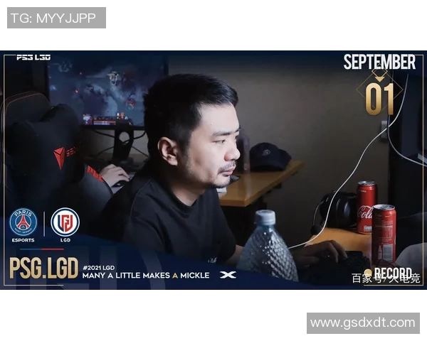 esports最新数据刘磊畅谈DOTA2职业生涯与成长历程的深度专访回顾 esports最新数据刘磊畅谈DOTA2职业生涯与成长历程的深度专访回顾